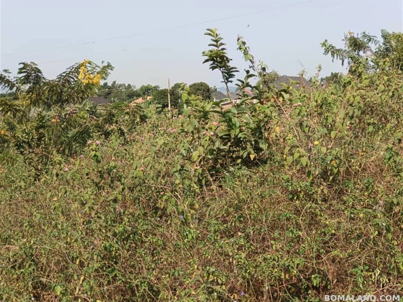 Residential Land for sale in Kitende Wakiso Uganda