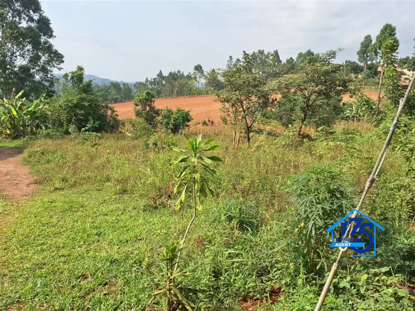 Residential Land for sale in Gayaza Wakiso Uganda