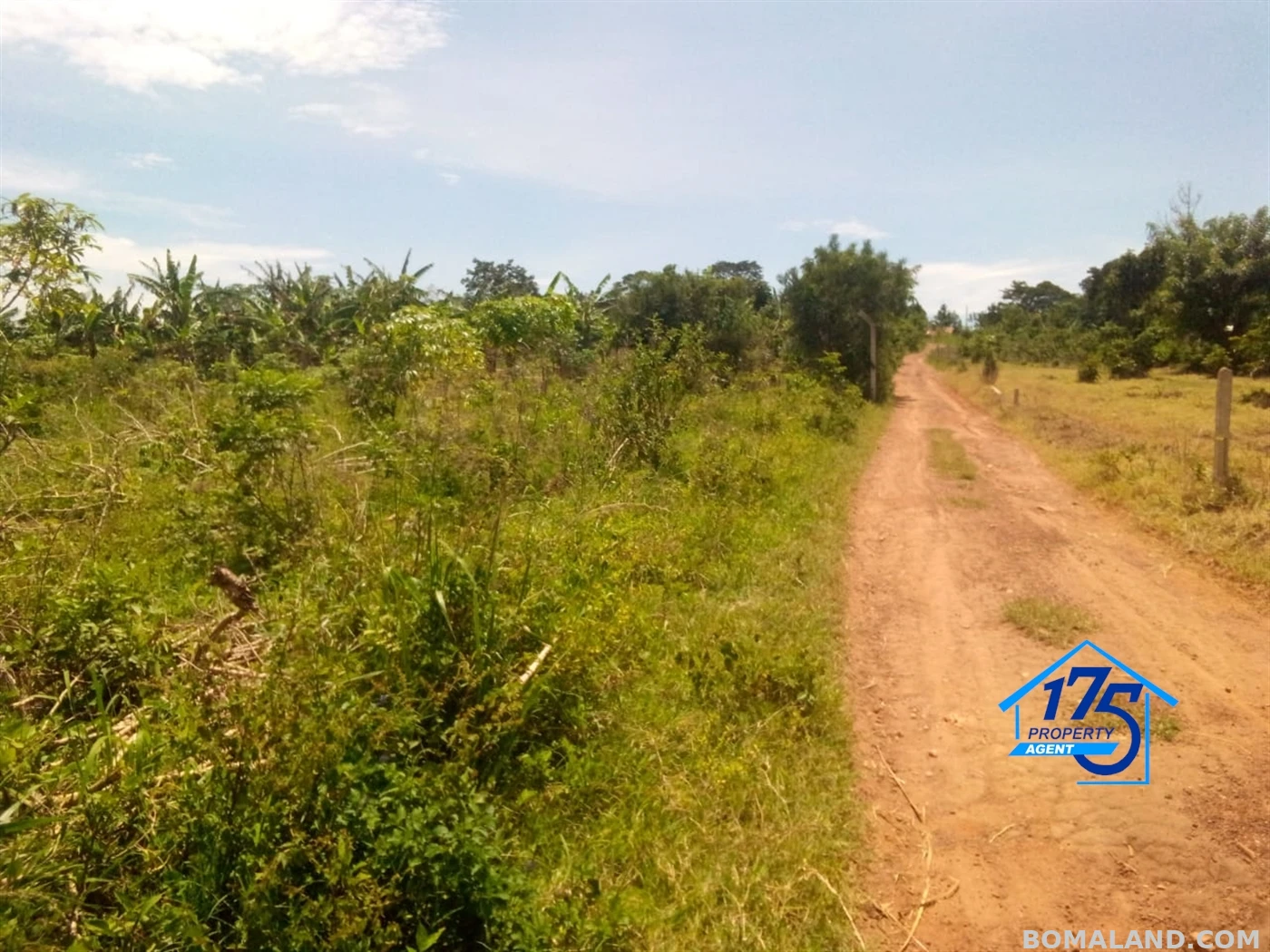 Residential Land for sale in Bukeelele Mukono Uganda