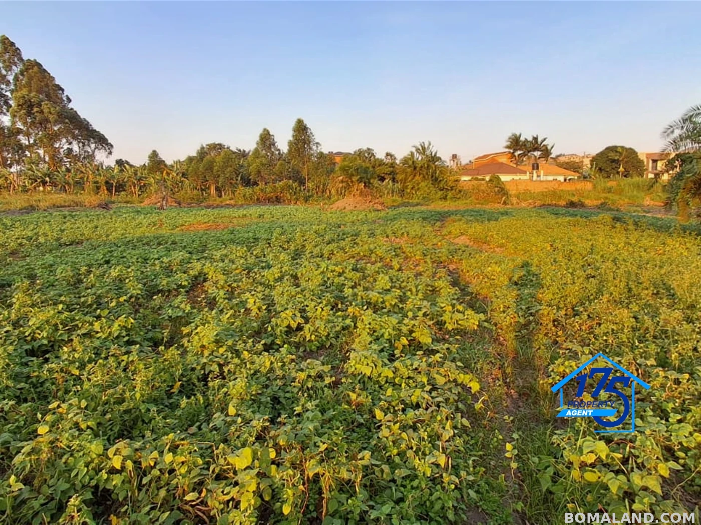 Residential Land for sale in Kira Wakiso Uganda