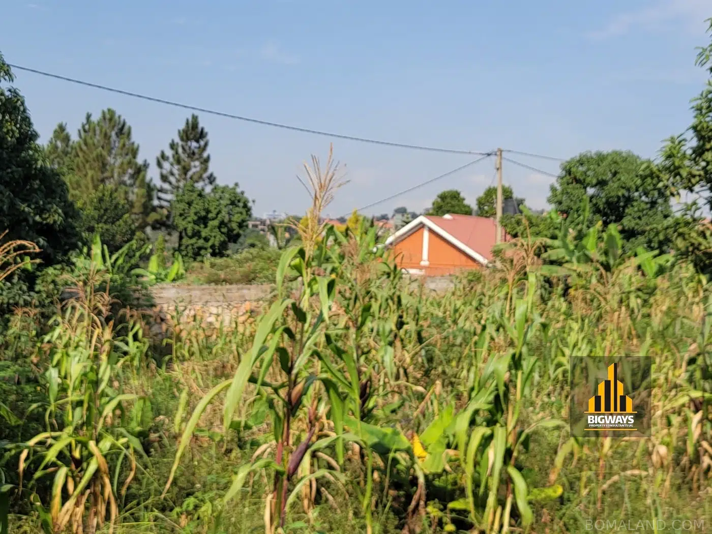 Residential Land for sale in Kyanja Kampala Uganda