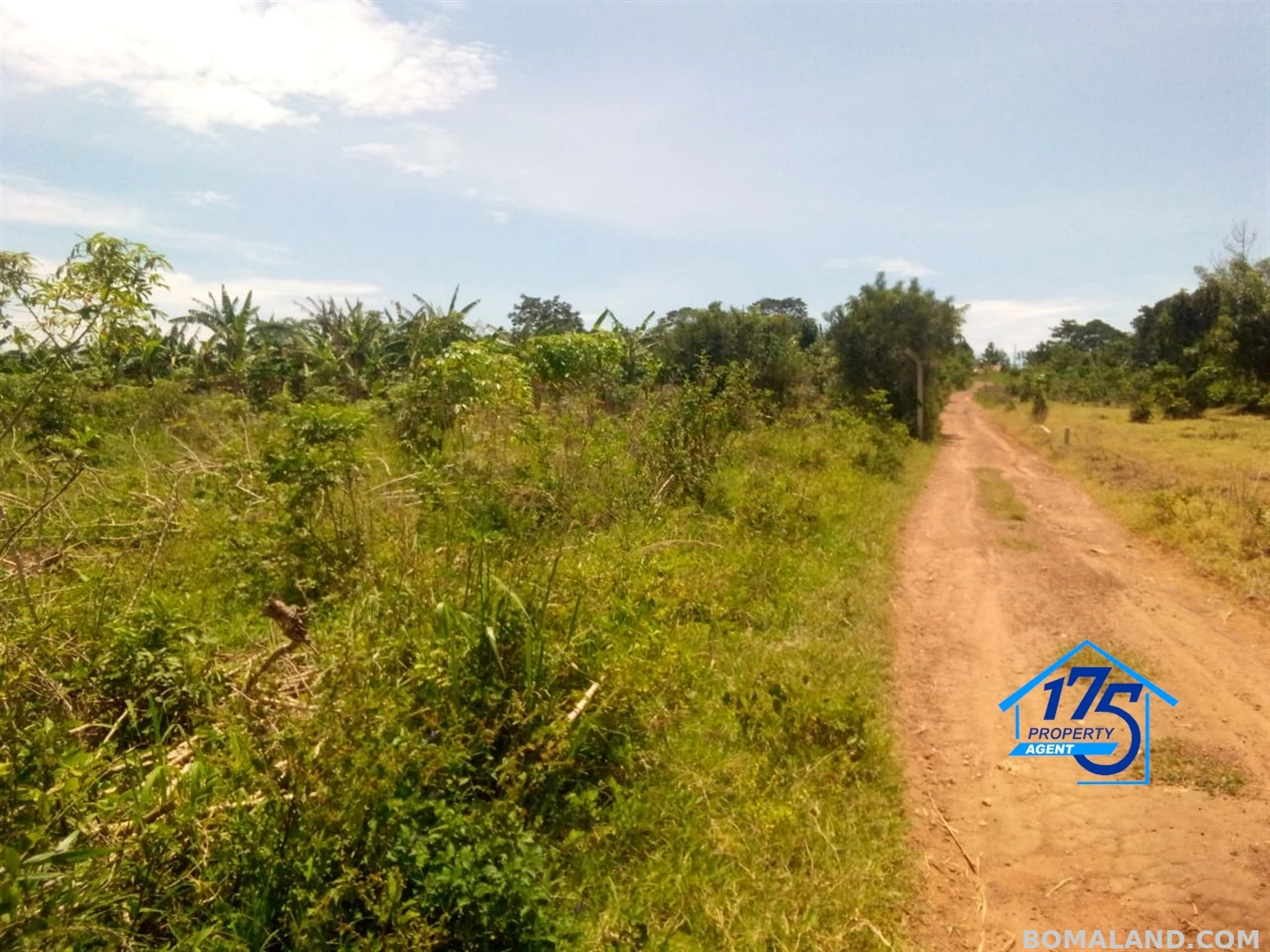 Residential Land for sale in Bukeelele Mukono Uganda