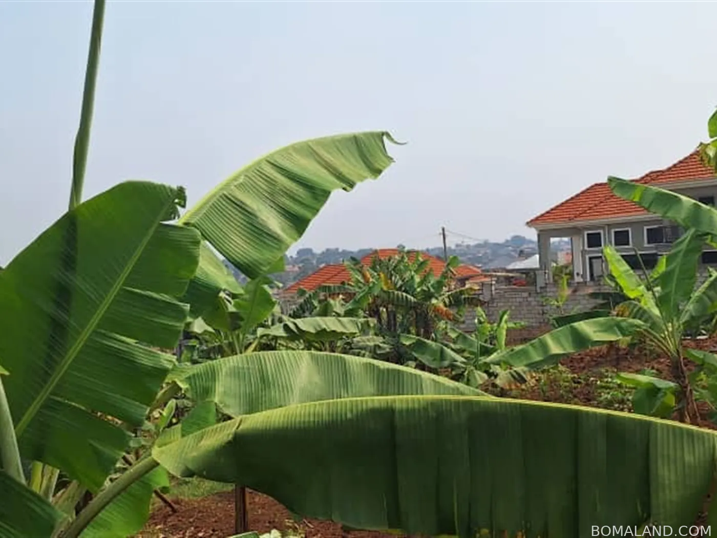 Residential Land for sale in Buwaate Wakiso Uganda