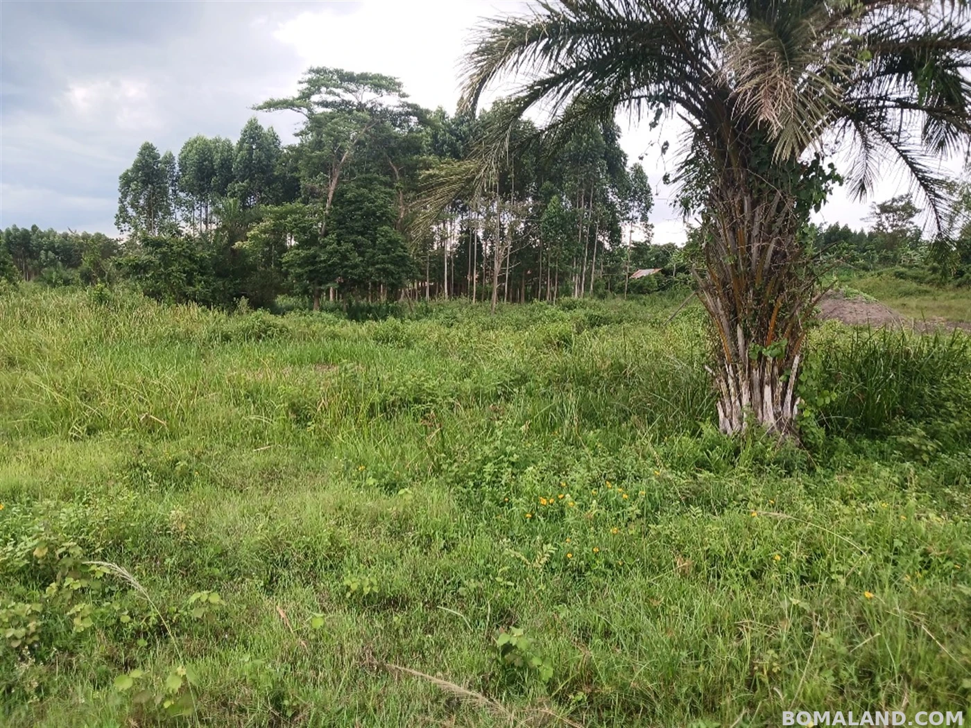 Recreational Land for sale in Ziloobwe Luweero Uganda
