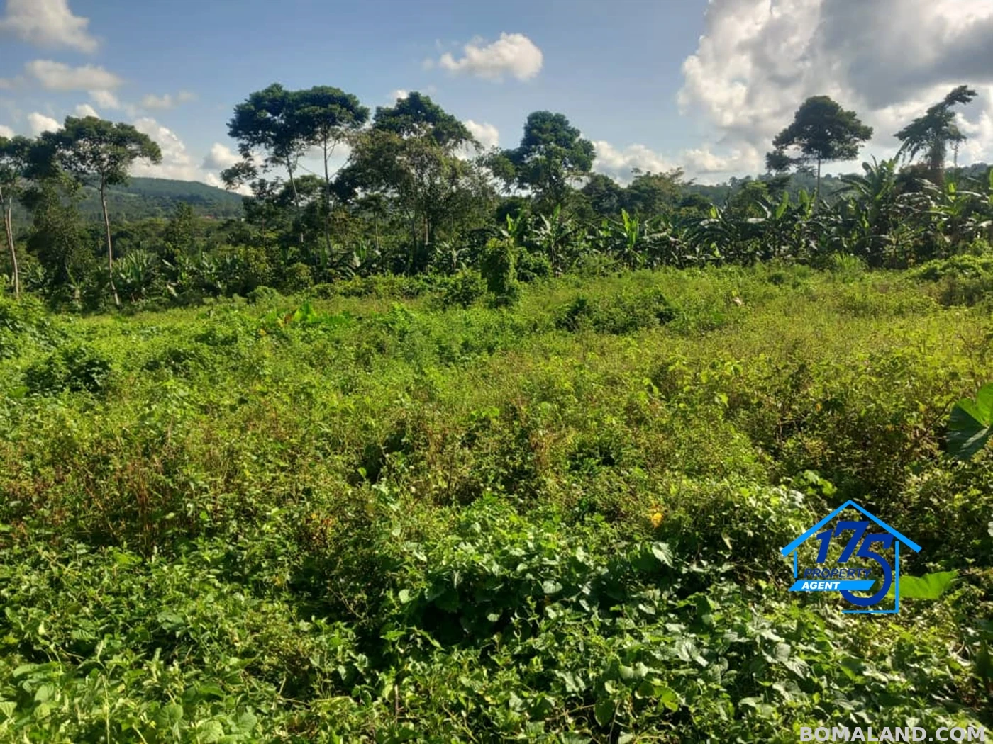 Agricultural Land for sale in Kisoga Mukono Uganda