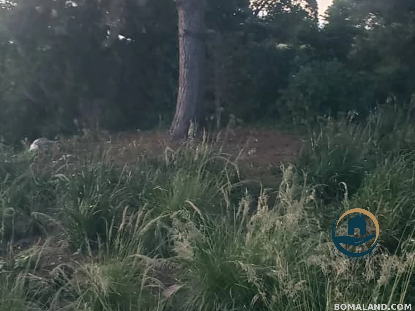Residential Land for sale in Garuga Wakiso Uganda