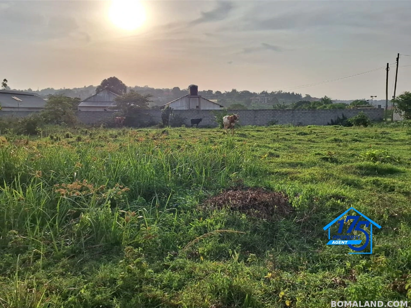 Residential Land for sale in Nabusugwe Wakiso Uganda