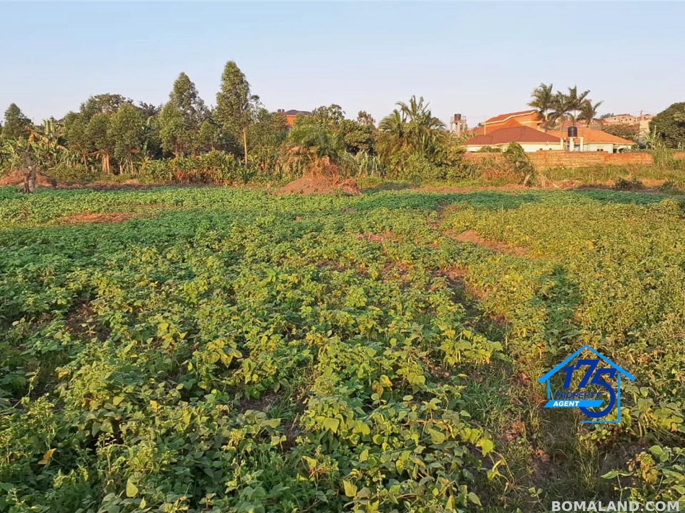 Residential Land for sale in Kira Wakiso Uganda