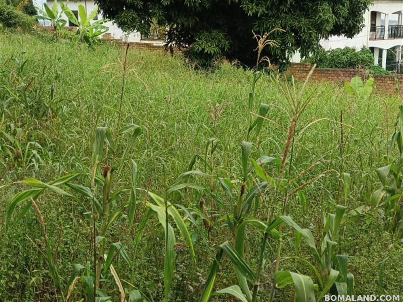 Residential Land for sale in Bwebajja Wakiso Uganda