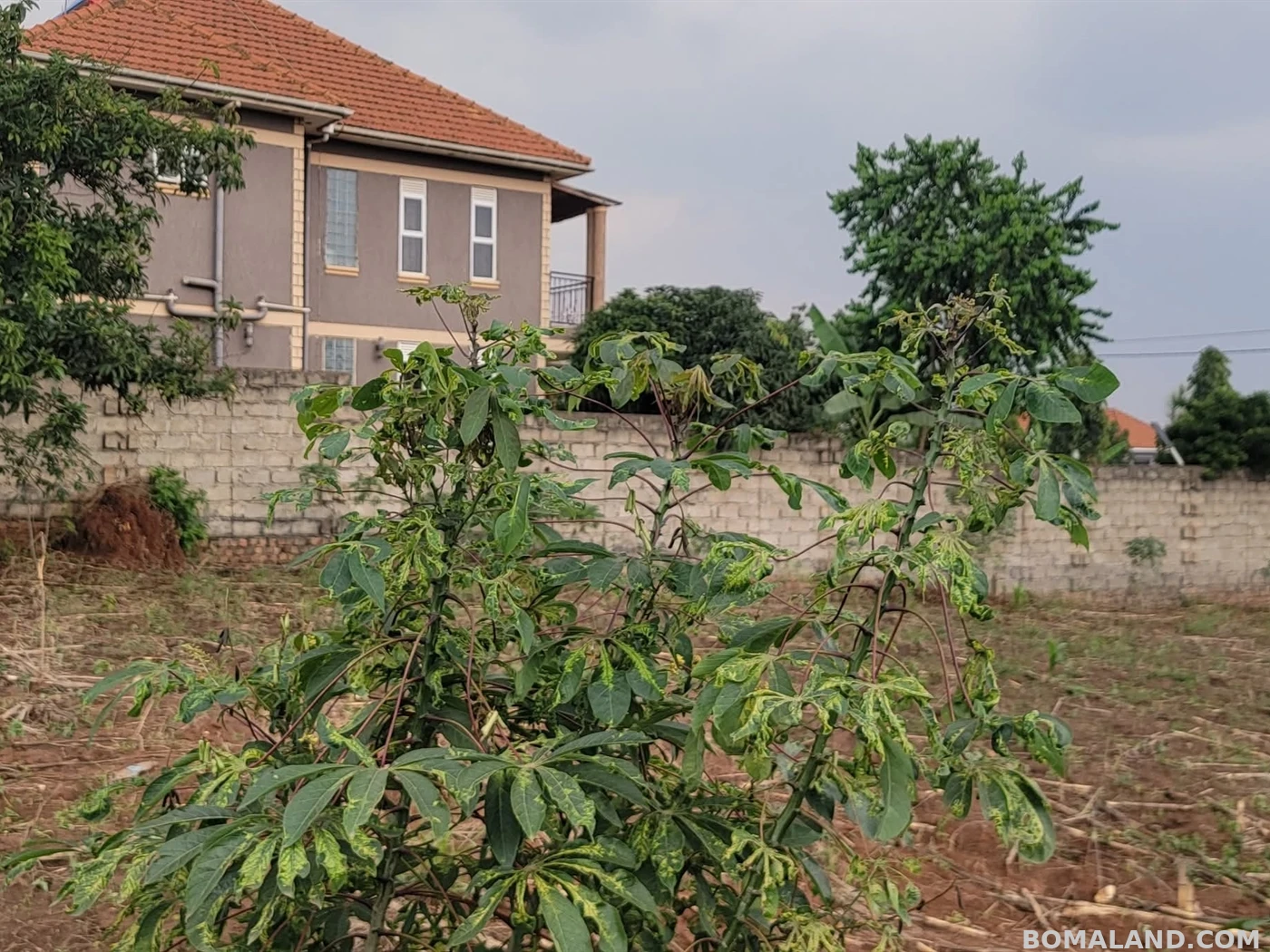Residential Land for sale in Kira Wakiso Uganda