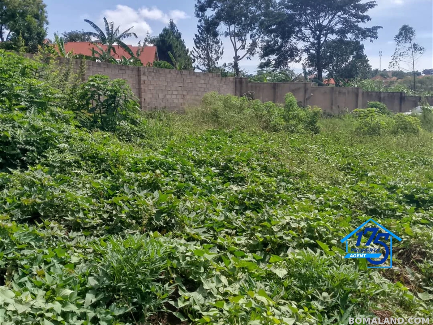 Residential Land for sale in Namugongo Wakiso Uganda