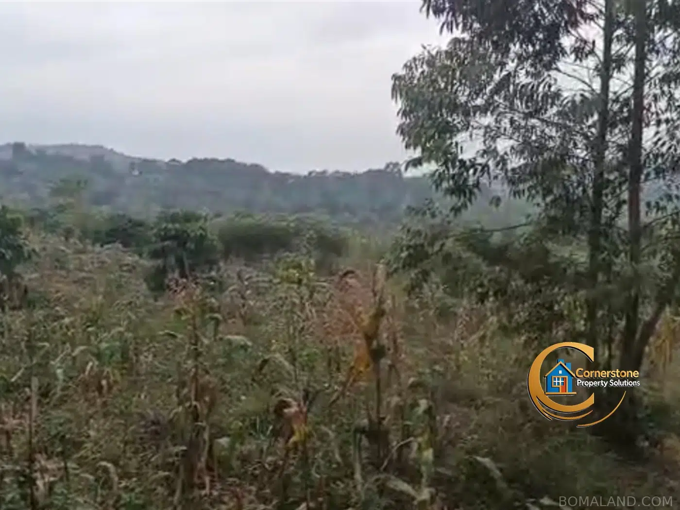 Agricultural Land for sale in Kiyanja Mukono Uganda