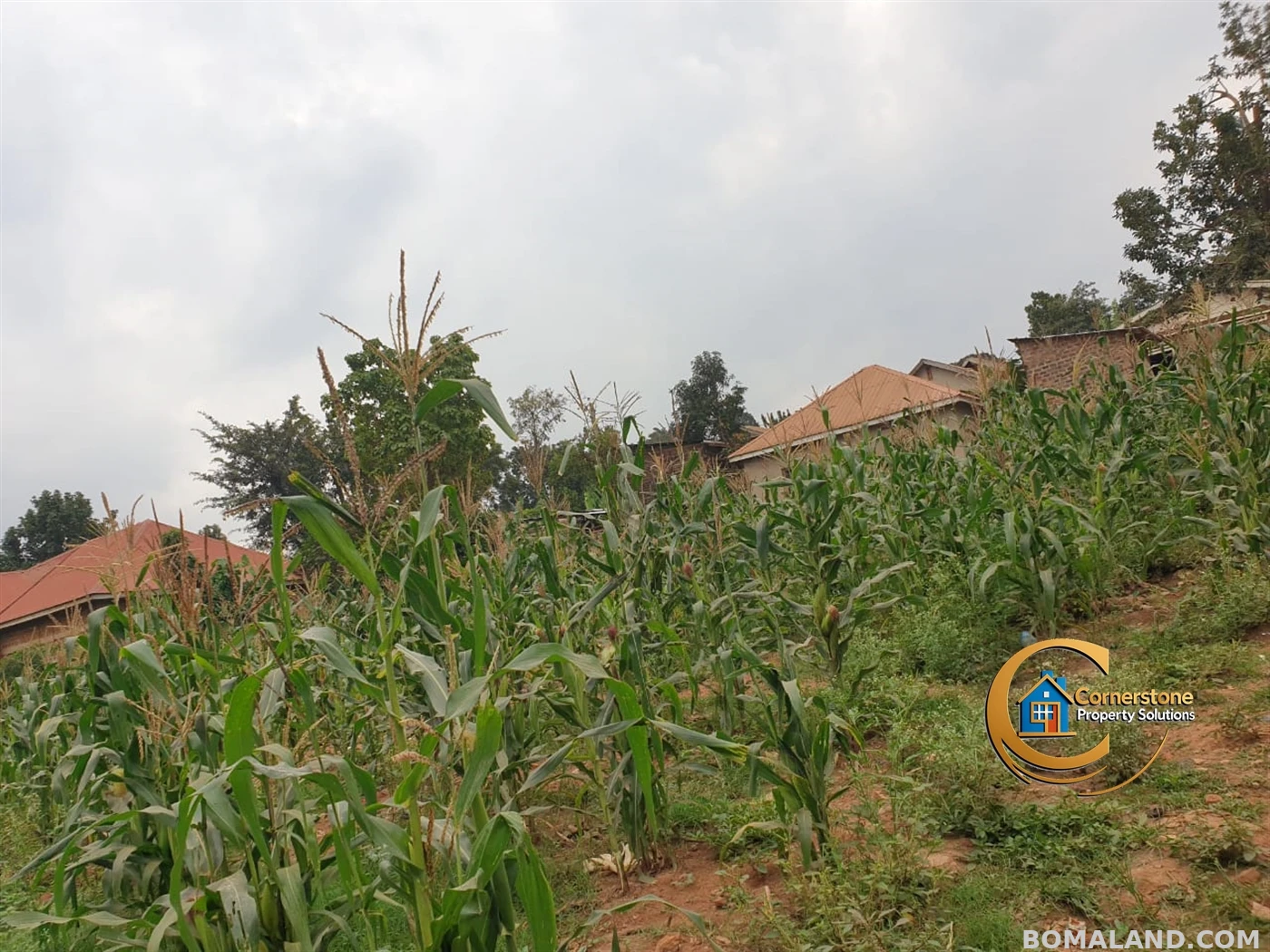Residential Land for sale in Mpererwe Wakiso Uganda