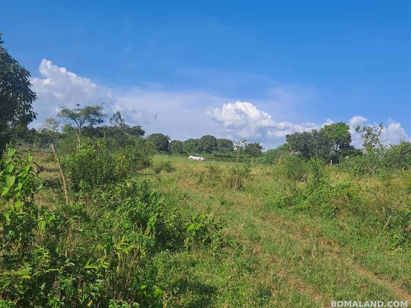 Agricultural Land for sale in Kiwoko Luweero Uganda