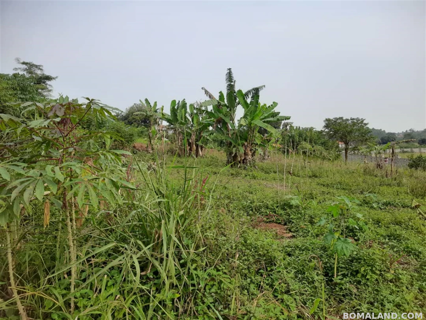 Residential Land for sale in Nsasa Kampala Uganda