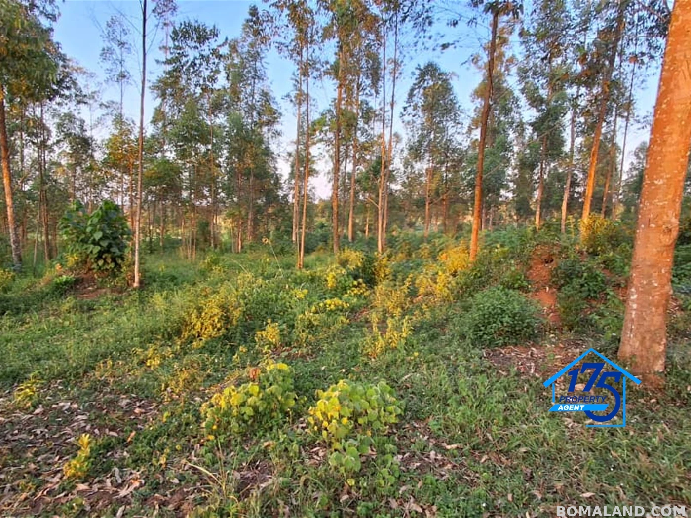 Residential Land for sale in Nkokonjeru Mukono Uganda