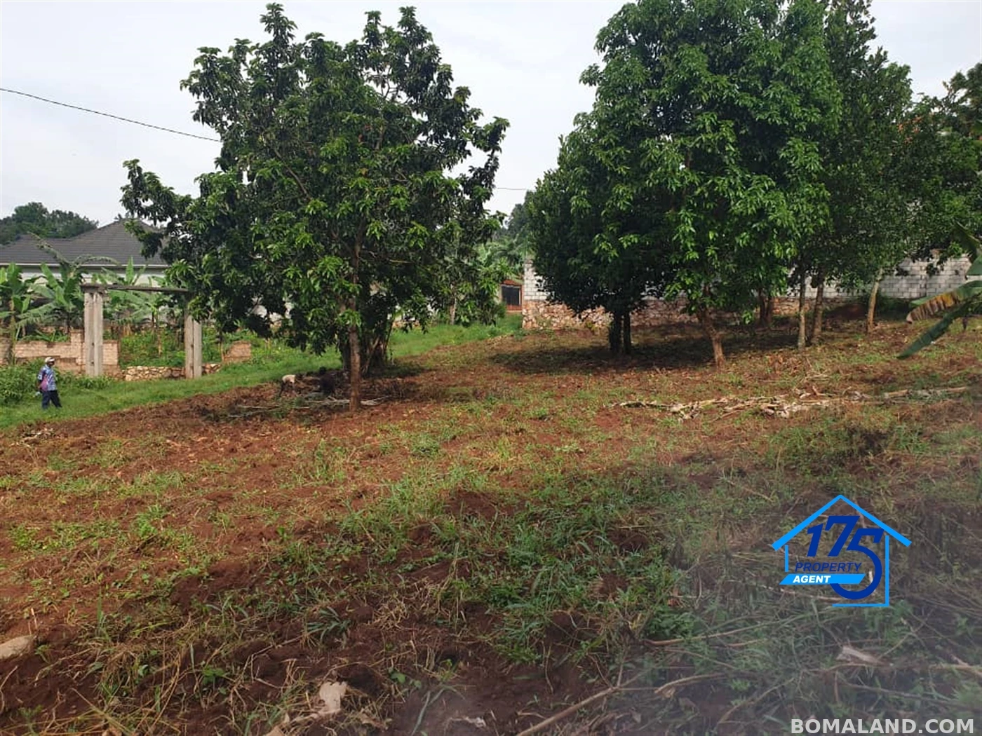 Residential Land for sale in Gayaza Wakiso Uganda
