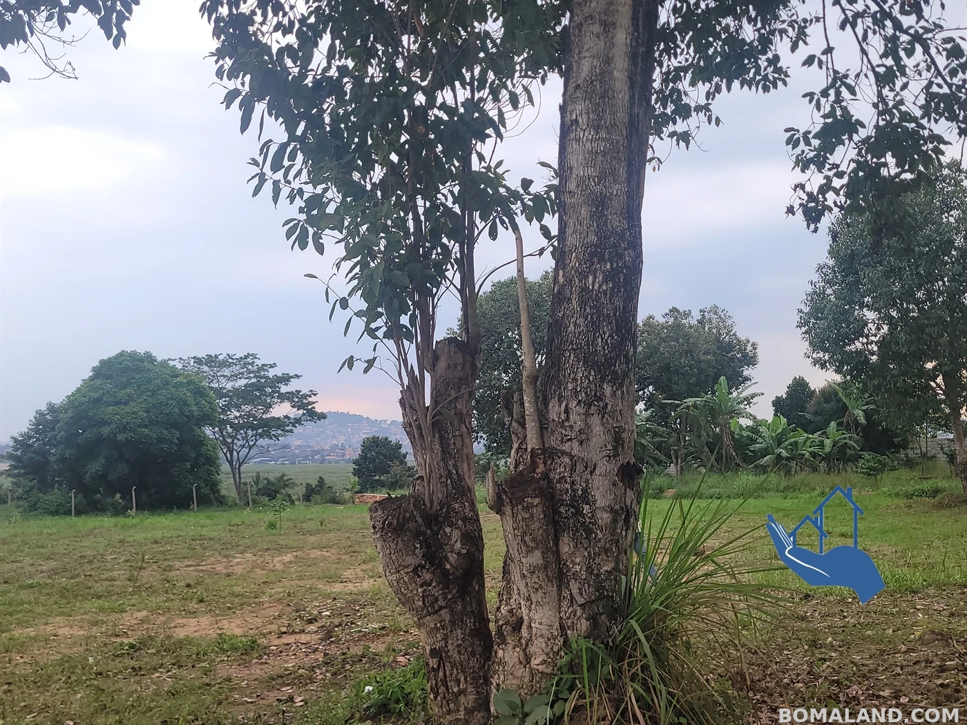 Residential Land for sale in Kigo Wakiso Uganda