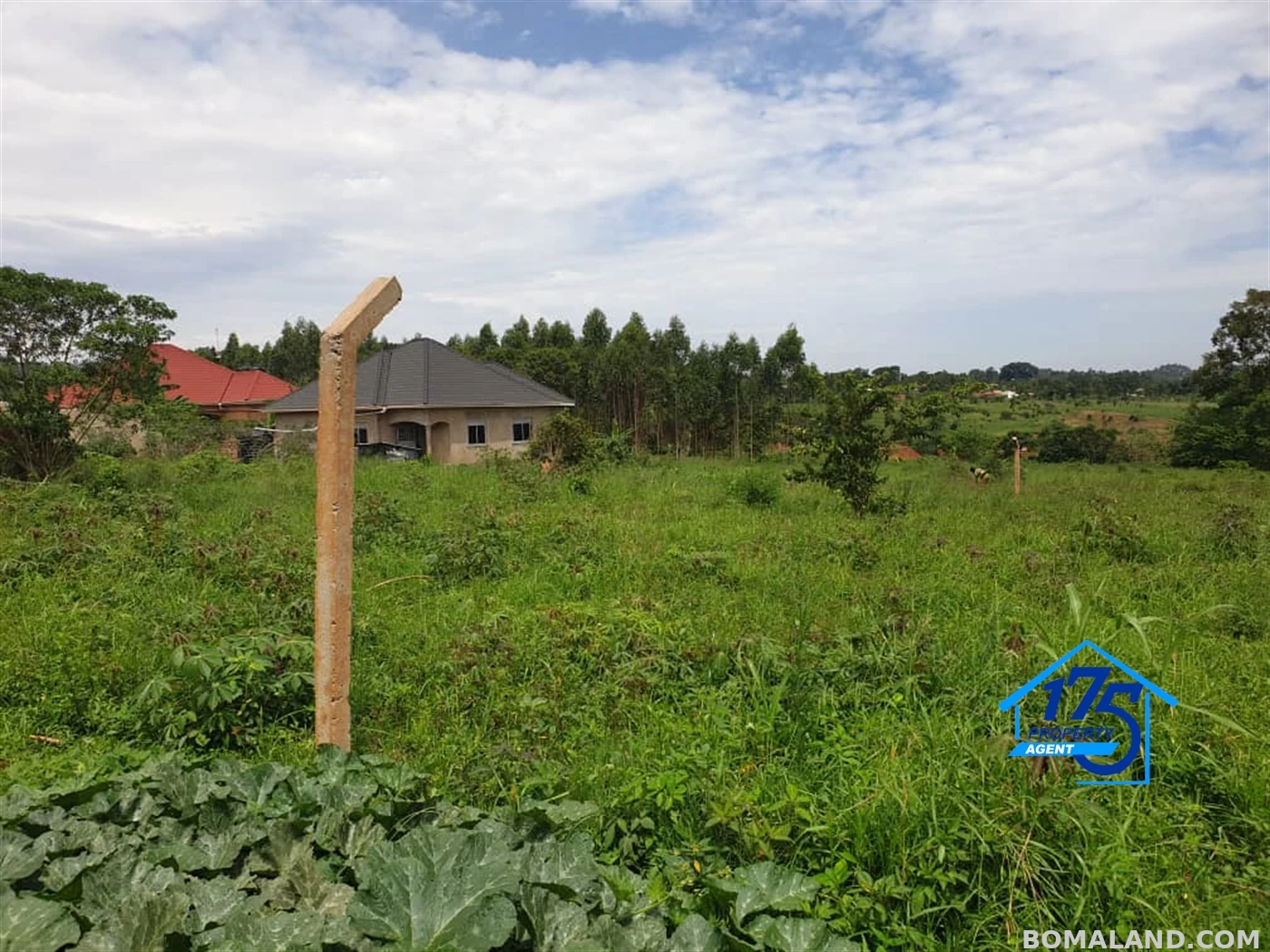 Residential Land for sale in Bukeelele Mukono Uganda