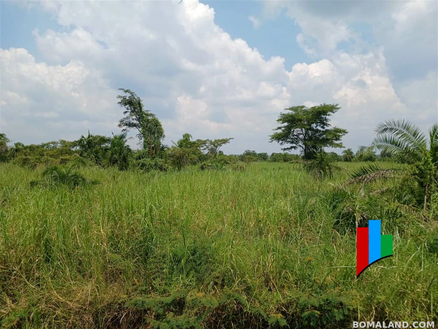Agricultural Land for sale in Kiwoko Nakaseke Uganda