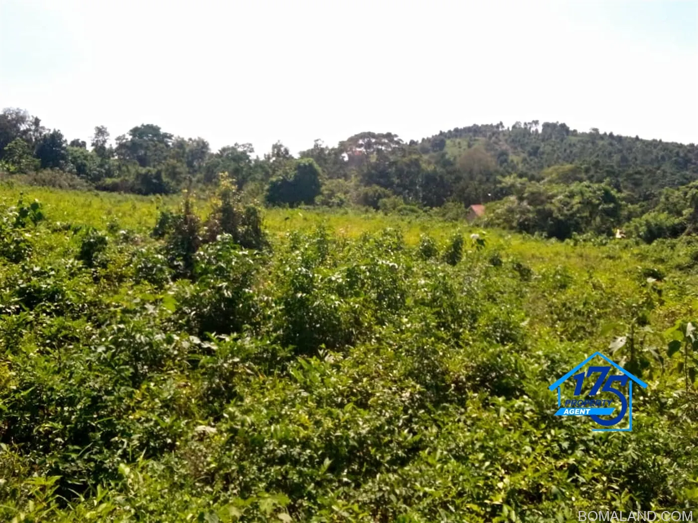 Residential Land for sale in Nabusugwe Wakiso Uganda