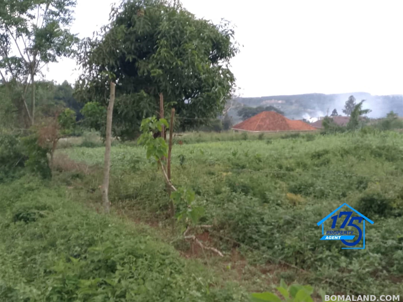 Residential Land for sale in Sonde Mukono Uganda