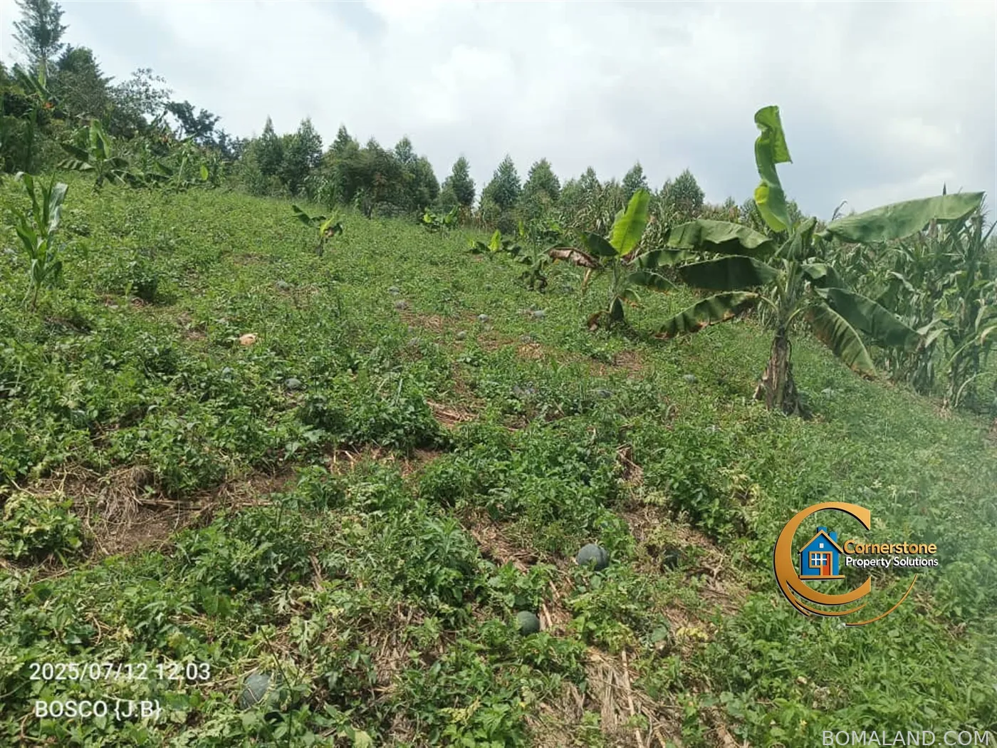 Agricultural Land for sale in Minanna Mityana Uganda