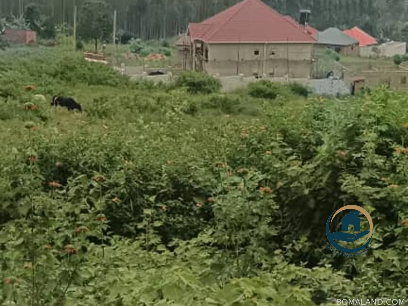 Residential Land for sale in Nalubudde Wakiso Uganda