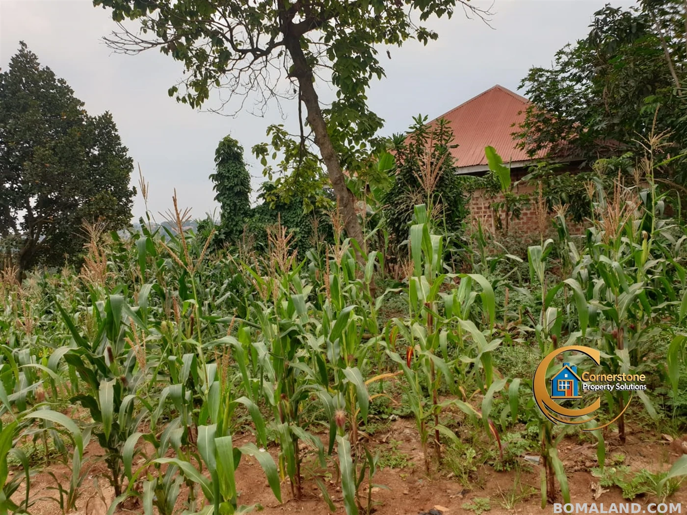 Residential Land for sale in Mpererwe Wakiso Uganda