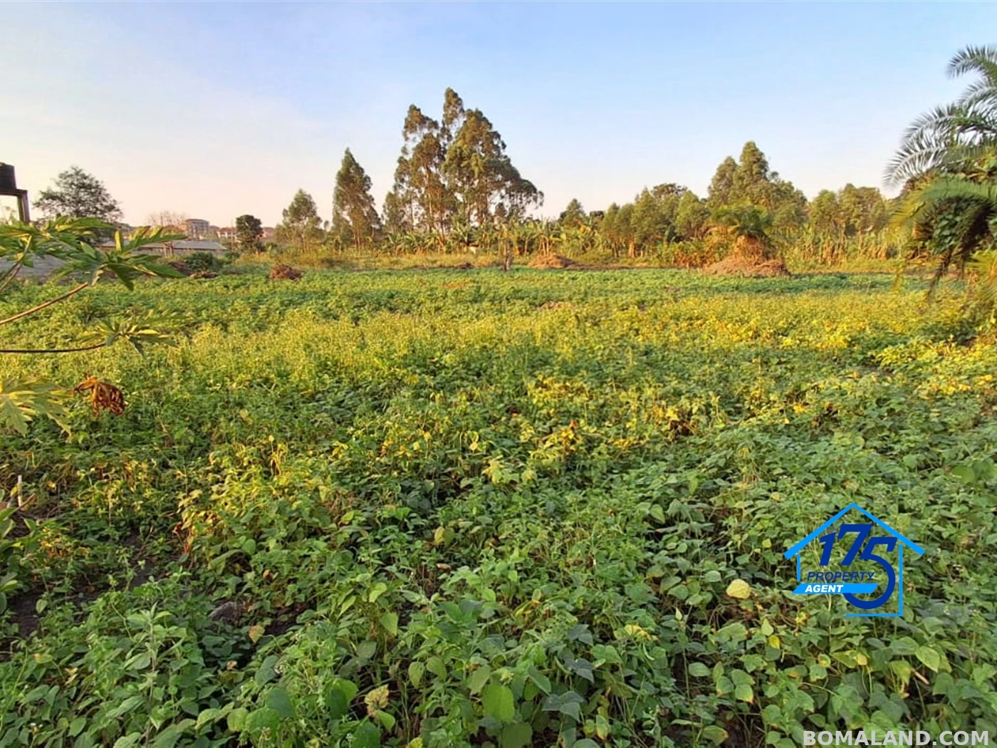 Residential Land for sale in Kira Wakiso Uganda