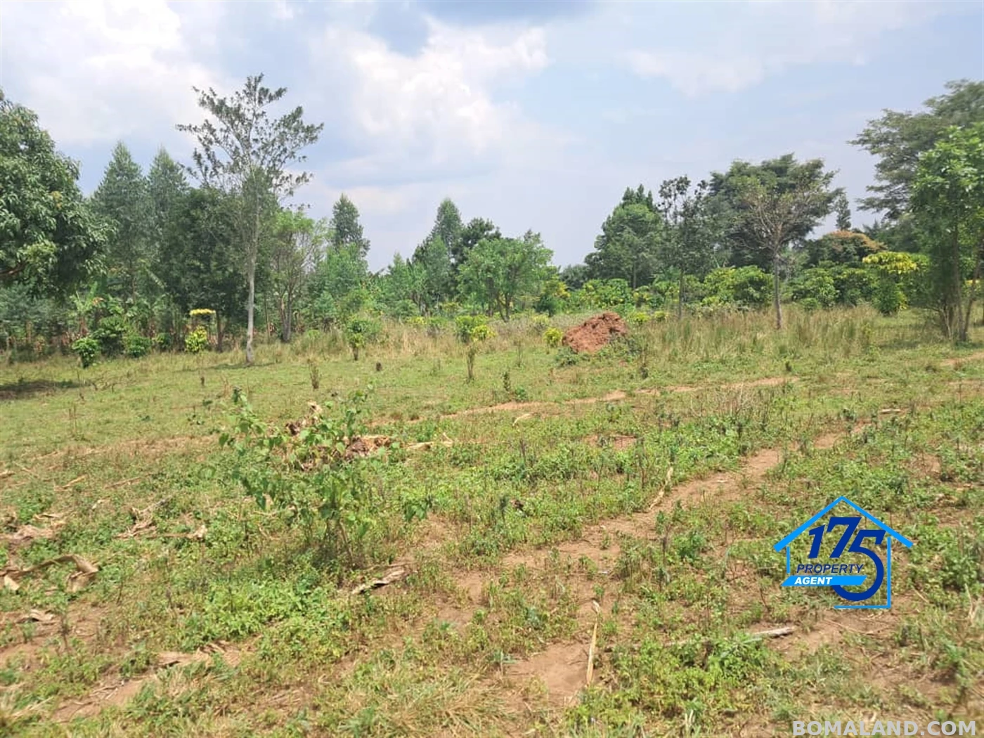 Residential Land for sale in Wabitunguru Luweero Uganda