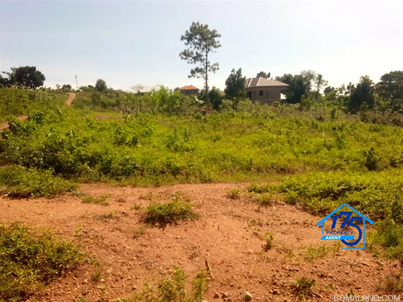 Residential Land for sale in Nabusugwe Wakiso Uganda