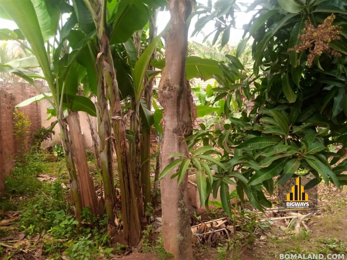 Residential Land for sale in Kyaliwajjala Wakiso Uganda