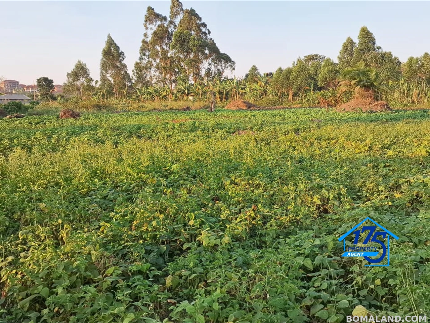 Residential Land for sale in Kira Wakiso Uganda