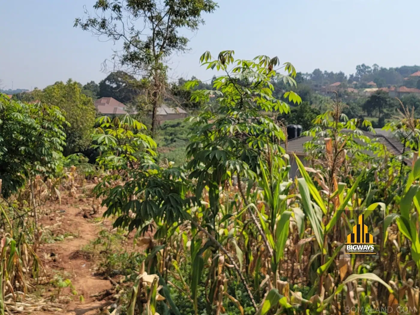 Residential Land for sale in Sonde Wakiso Uganda
