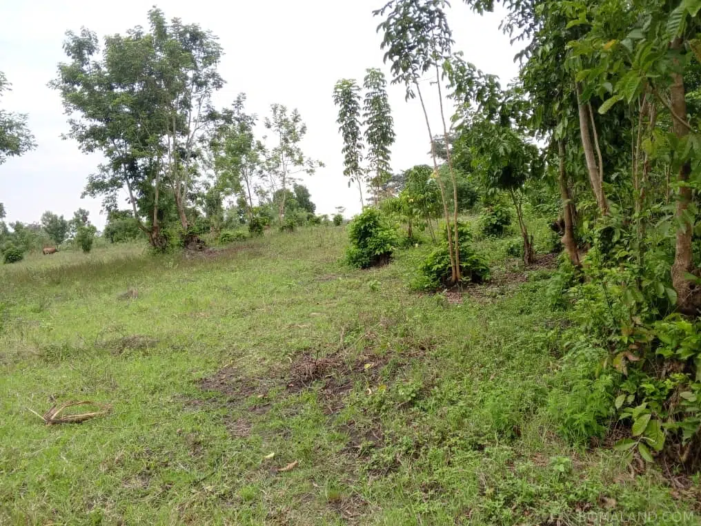 Recreational Land for sale in Namatogonya Kayunga Uganda