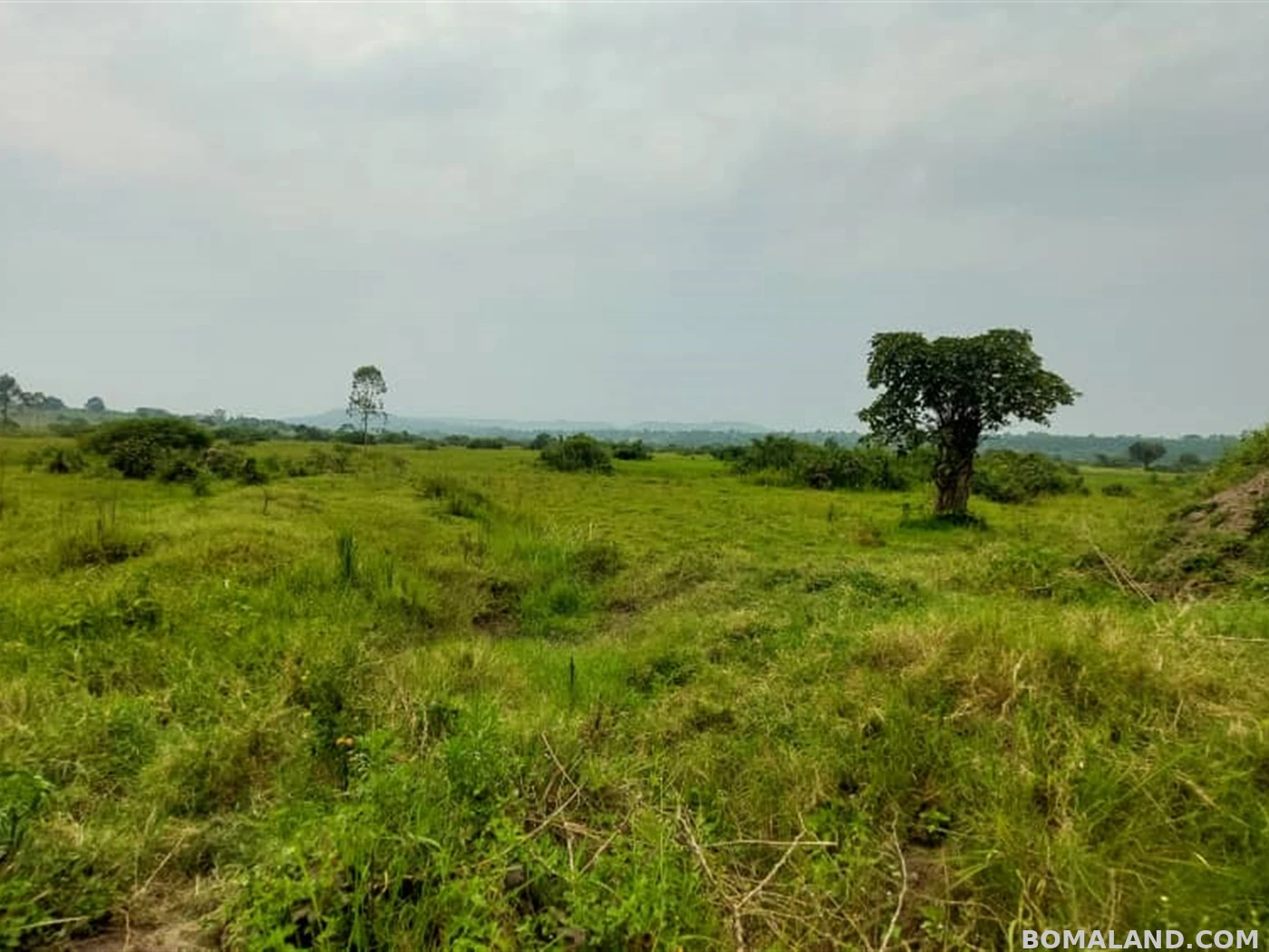 Agricultural Land for sale in Kakoni Gomba Uganda