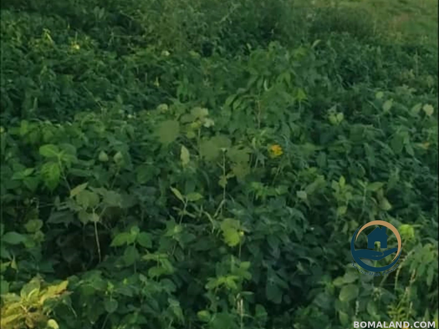 Residential Land for sale in Garuga Wakiso Uganda