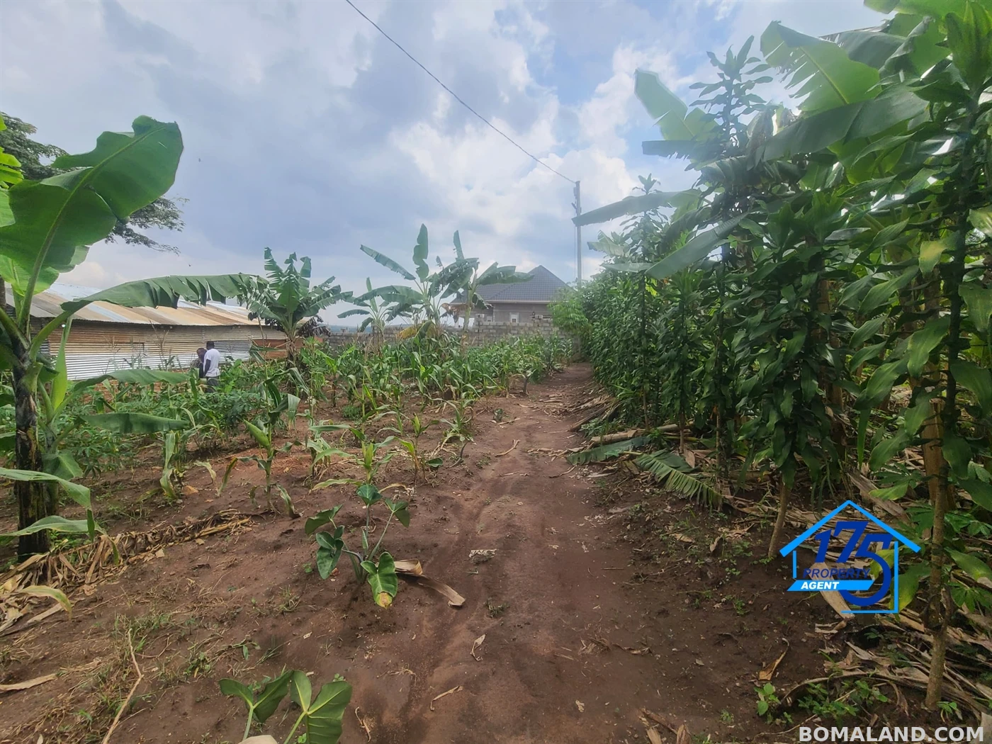 Residential Land for sale in Kiwenda Wakiso Uganda