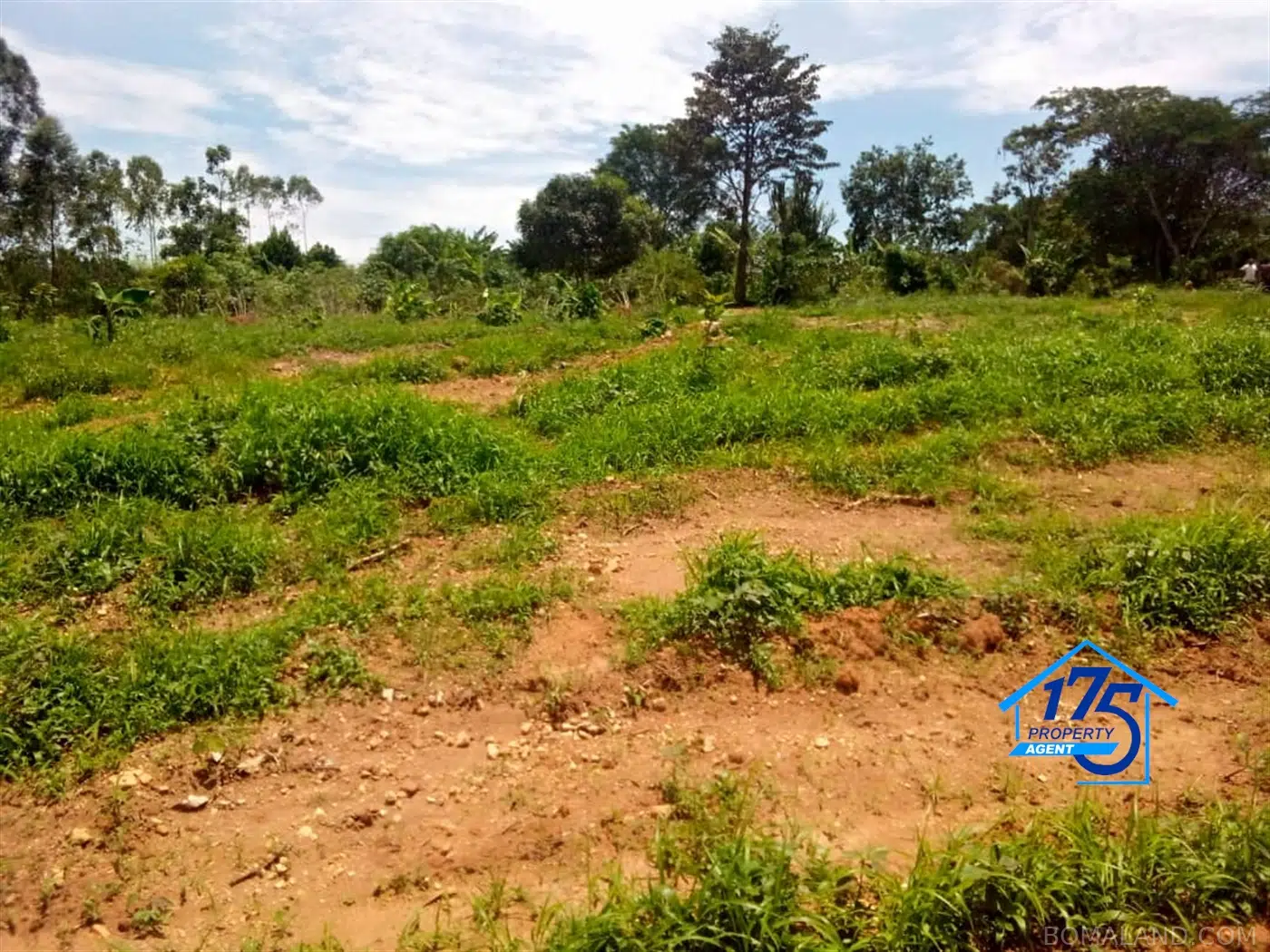 Residential Land for sale in Bukeelele Mukono Uganda