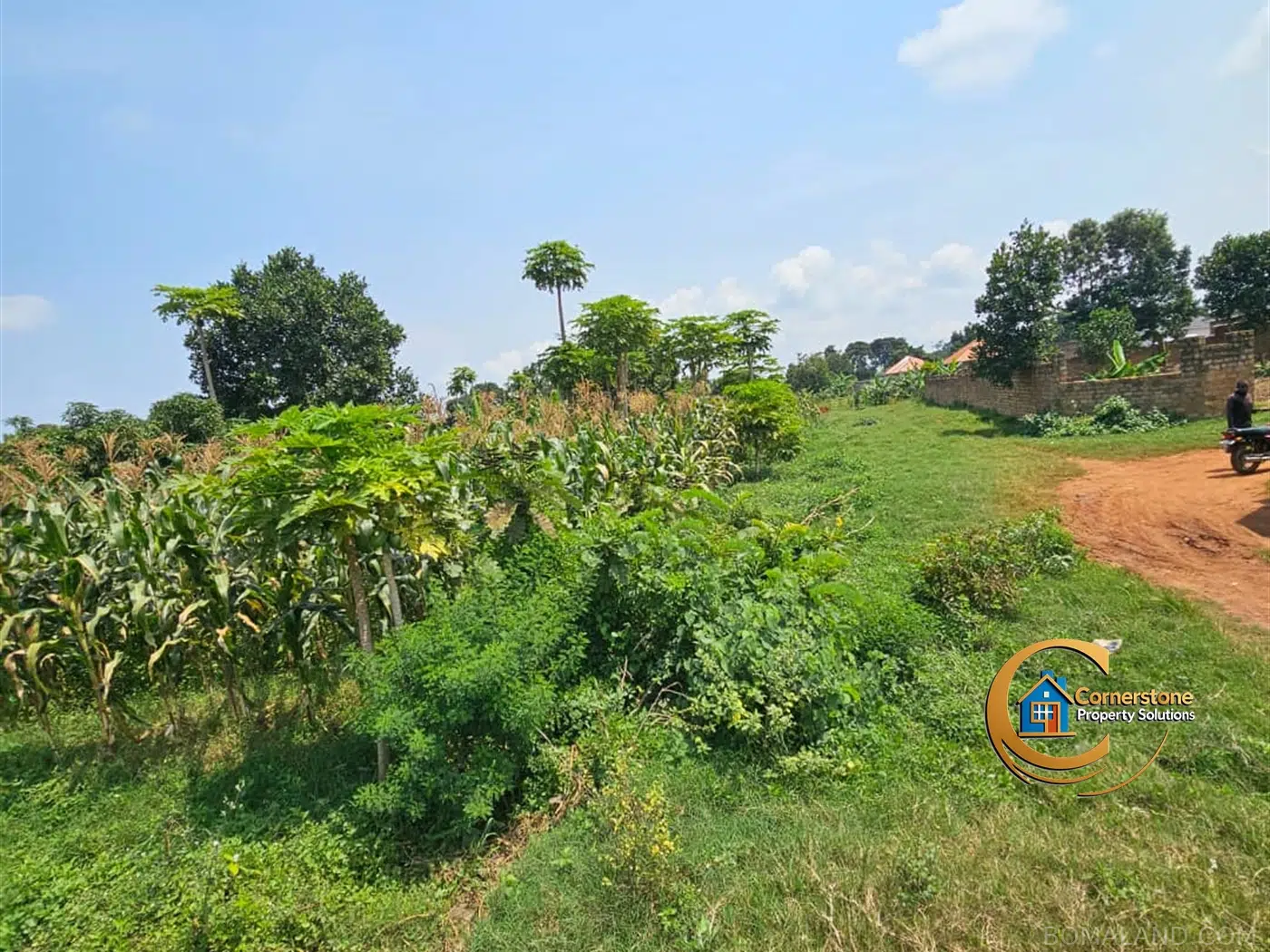 Residential Land for sale in Nkumba Wakiso Uganda