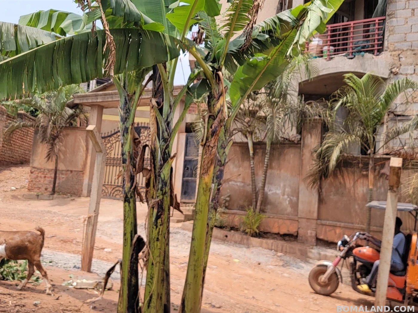 Residential Land for sale in Bukoto Wakiso Uganda