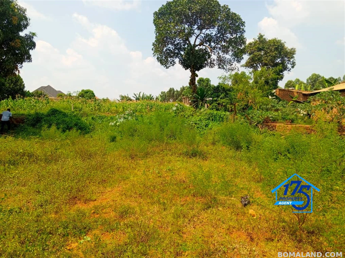 Commercial Land for sale in Bukeelele Mukono Uganda
