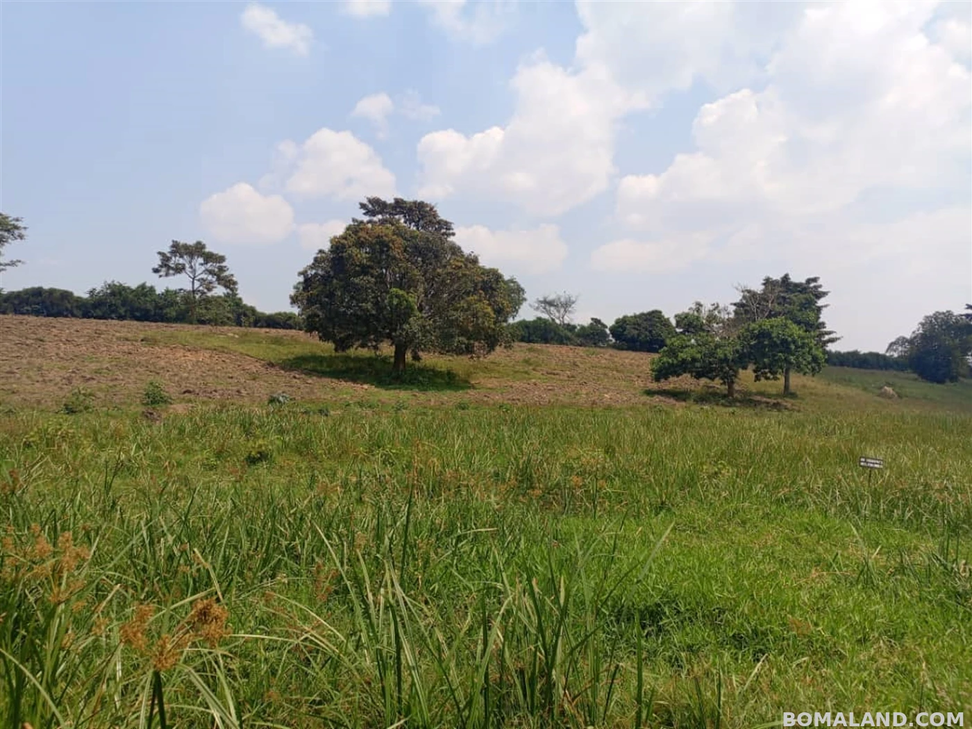 Factory for sale in Kakelenge Wakiso Uganda