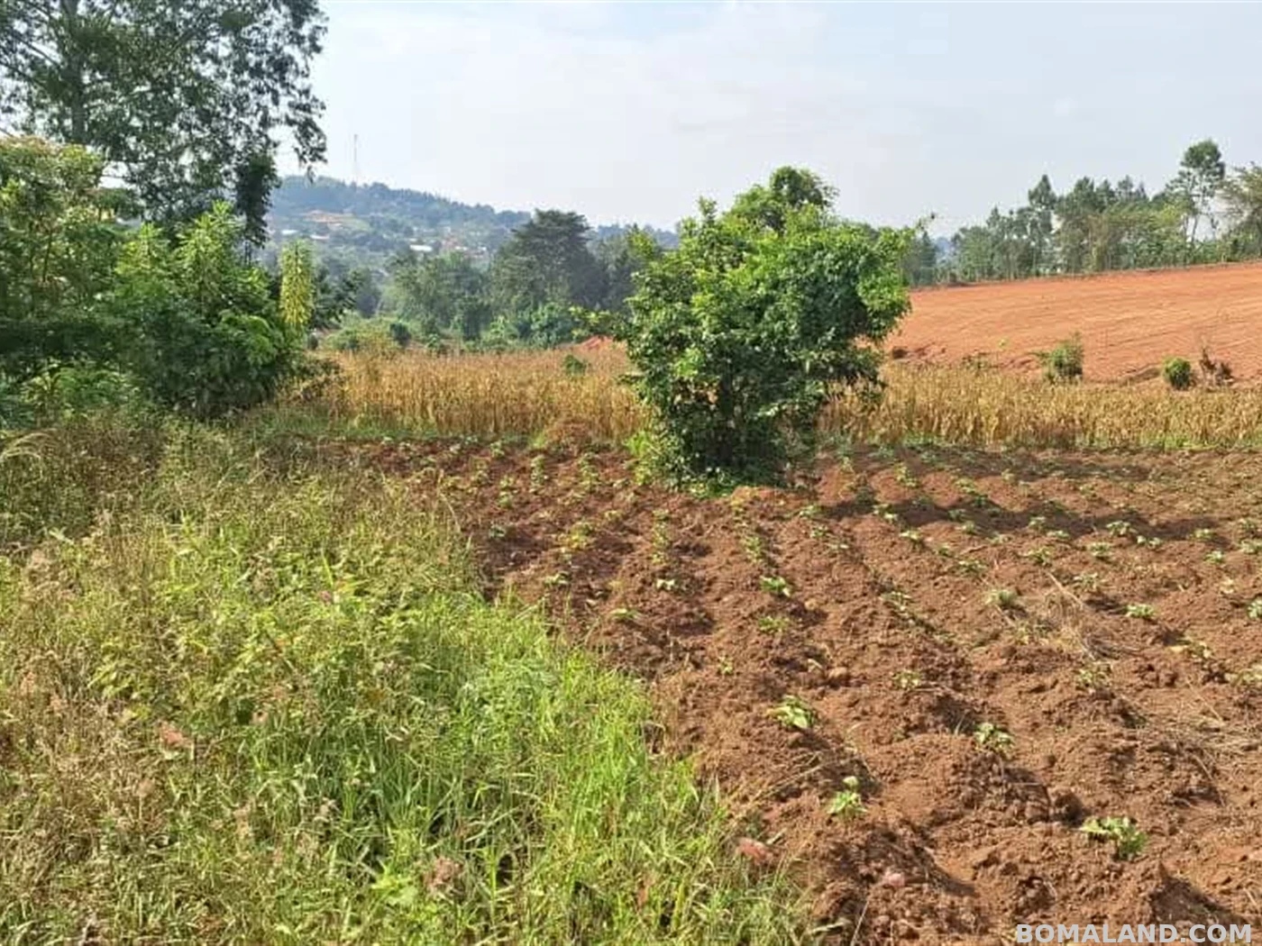 Residential Land for sale in Gayaza Wakiso Uganda
