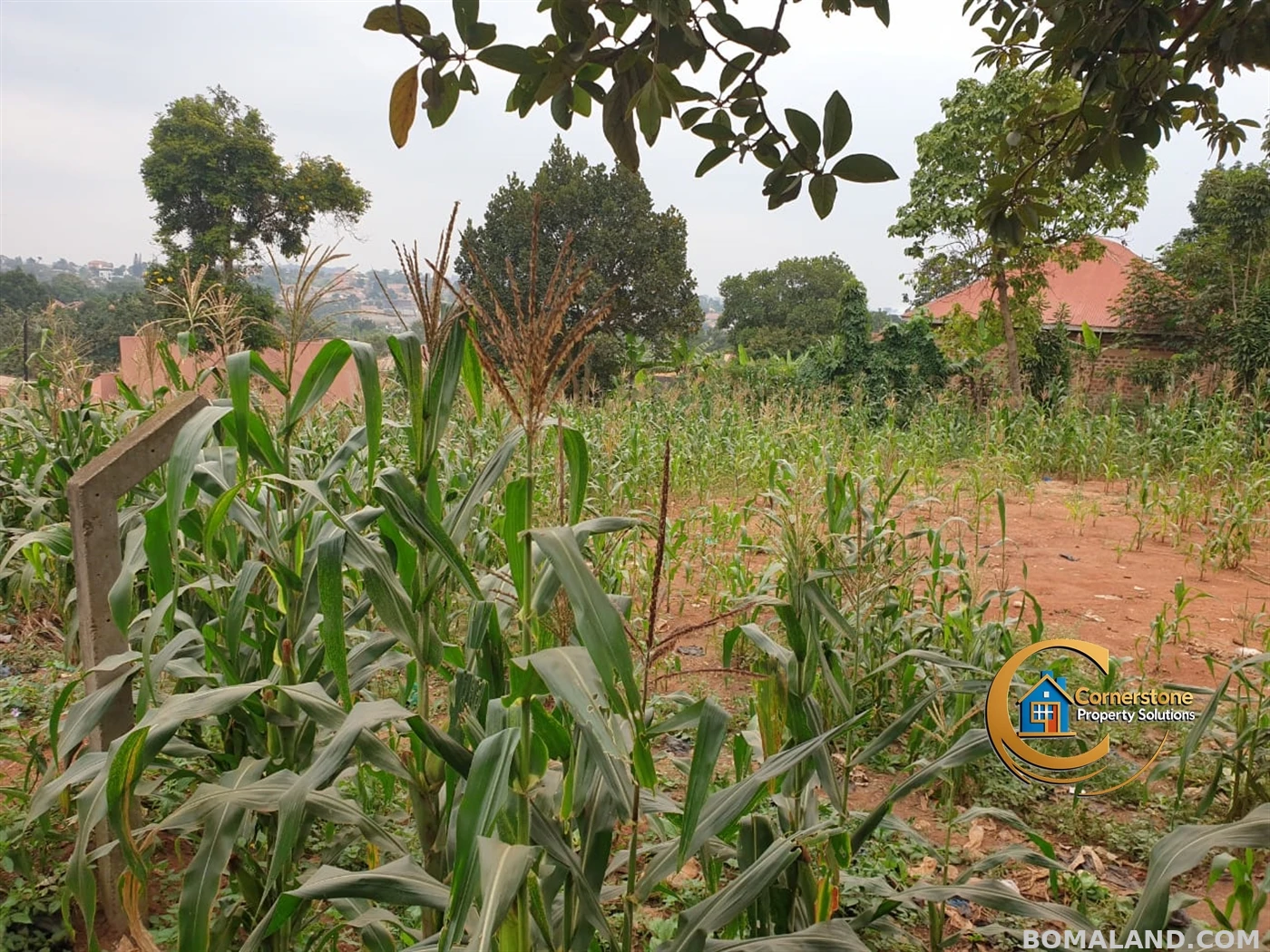 Residential Land for sale in Mpererwe Wakiso Uganda