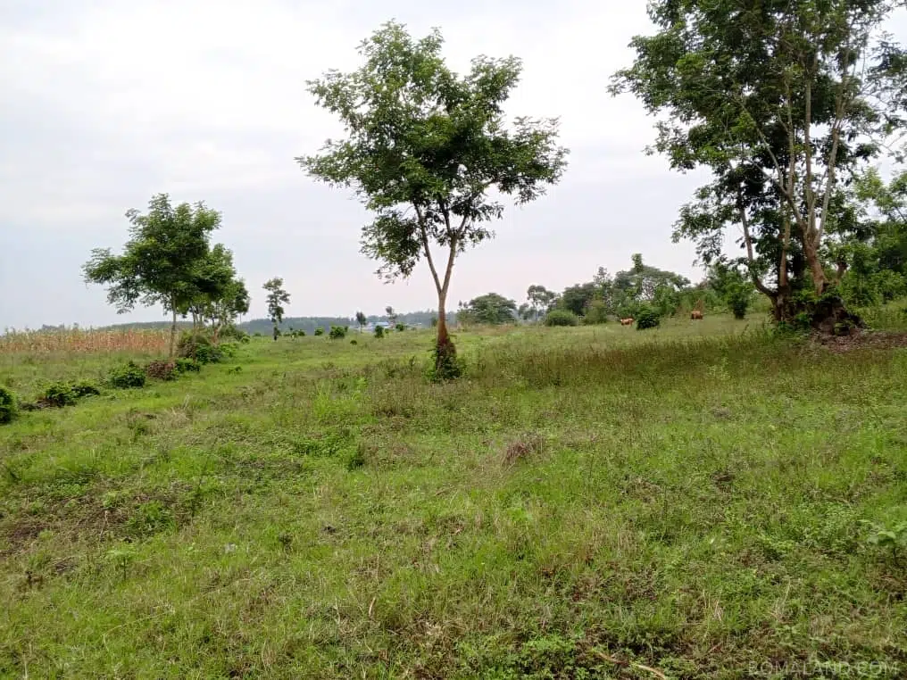 Recreational Land for sale in Namatogonya Kayunga Uganda