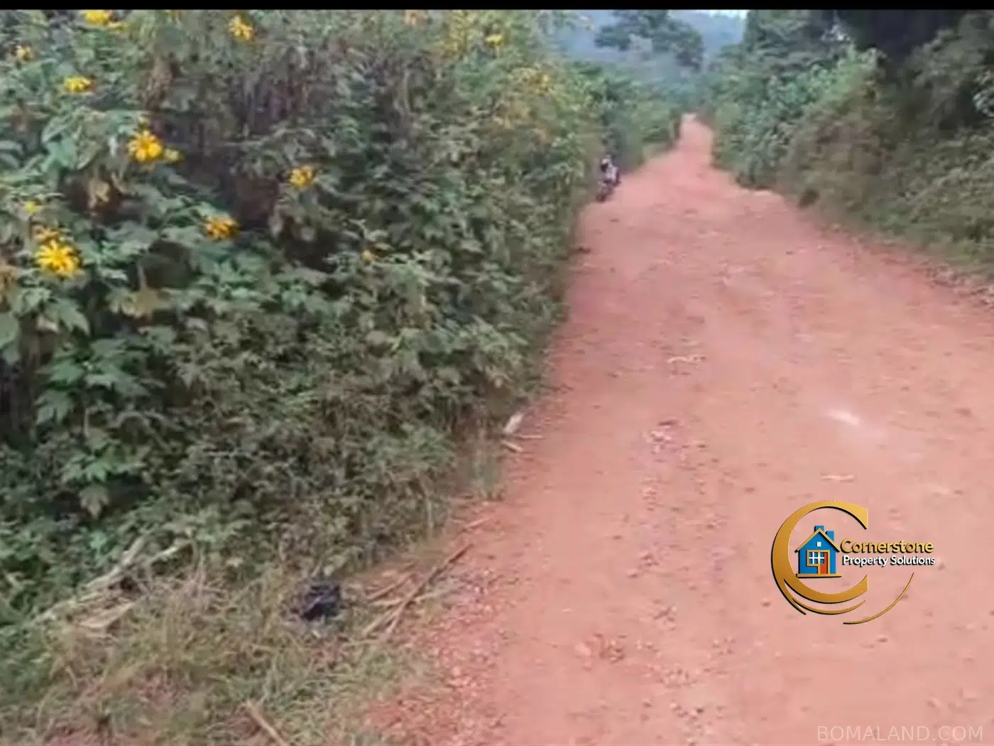Agricultural Land for sale in Kiyanja Mukono Uganda