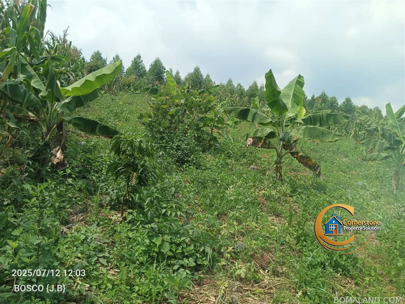 Agricultural Land for sale in Minanna Mityana Uganda