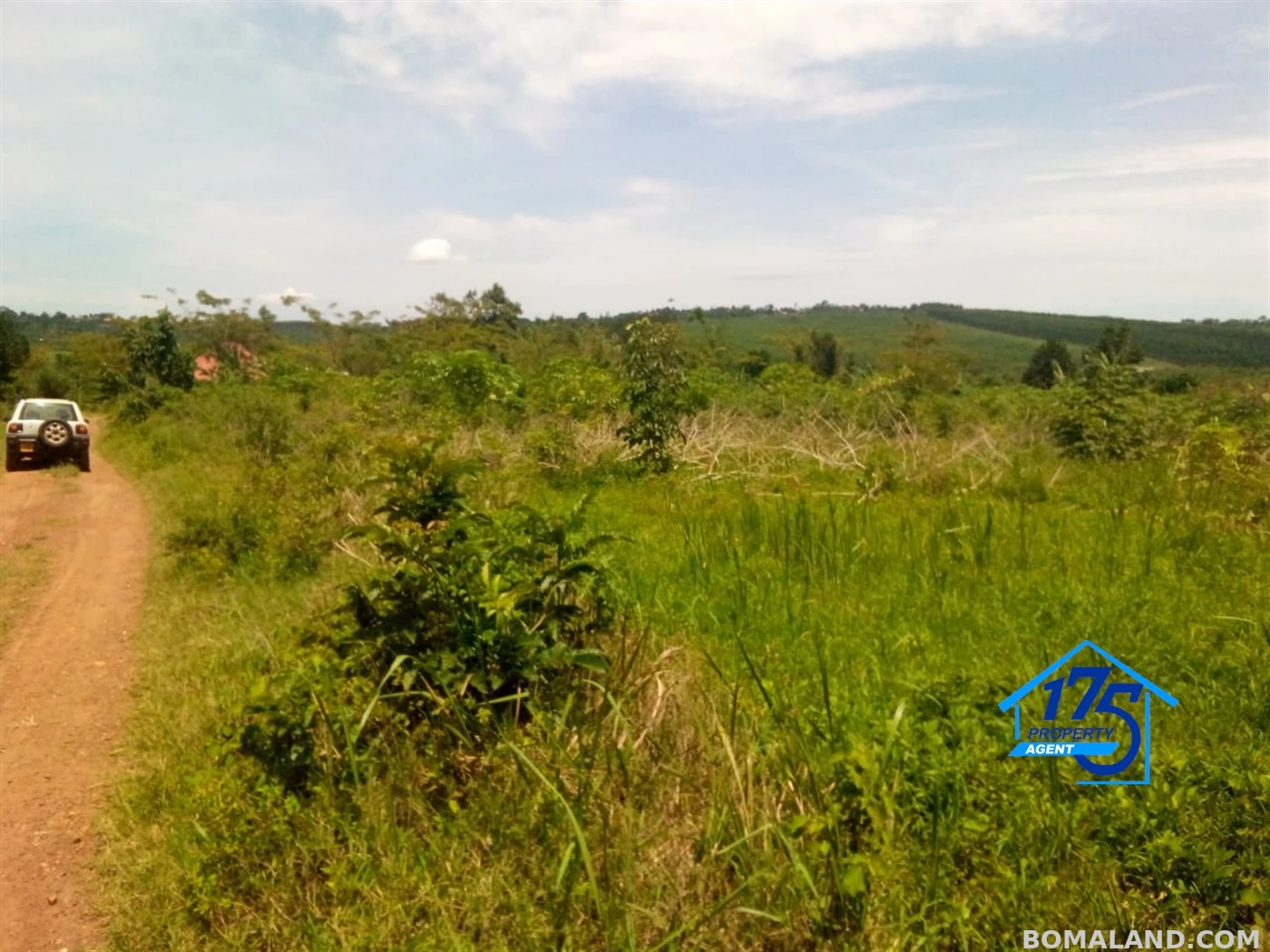 Residential Land for sale in Bukeelele Mukono Uganda